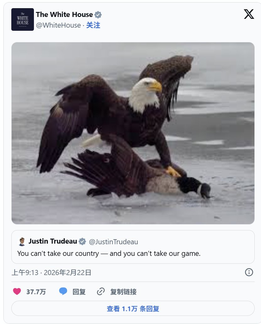 美加男冰决赛后 美方社媒发图引发争议 - 图片 1